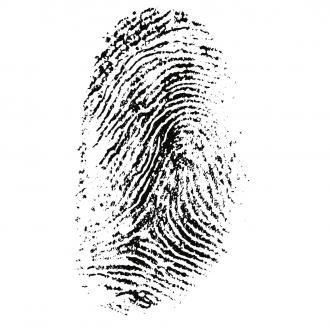 fingerprint-257037